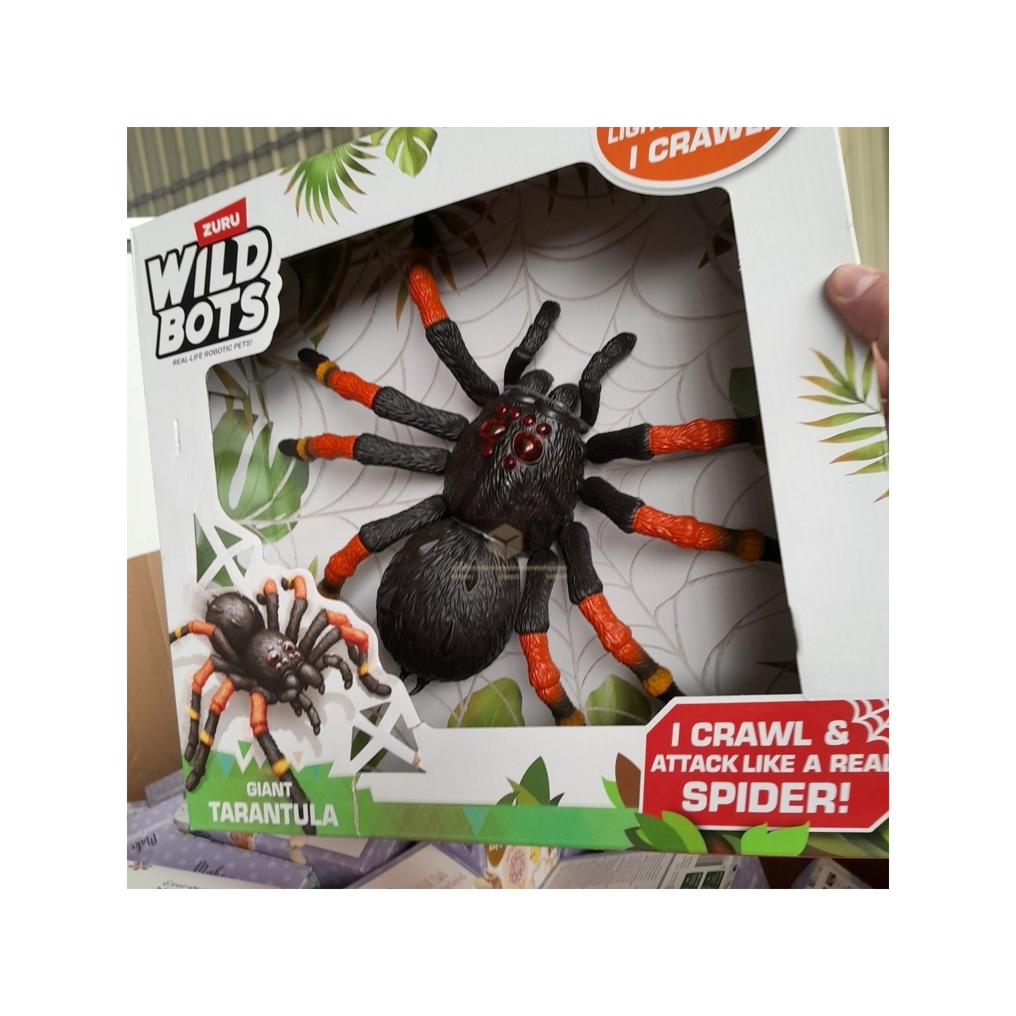 PALETTE A****N - A265