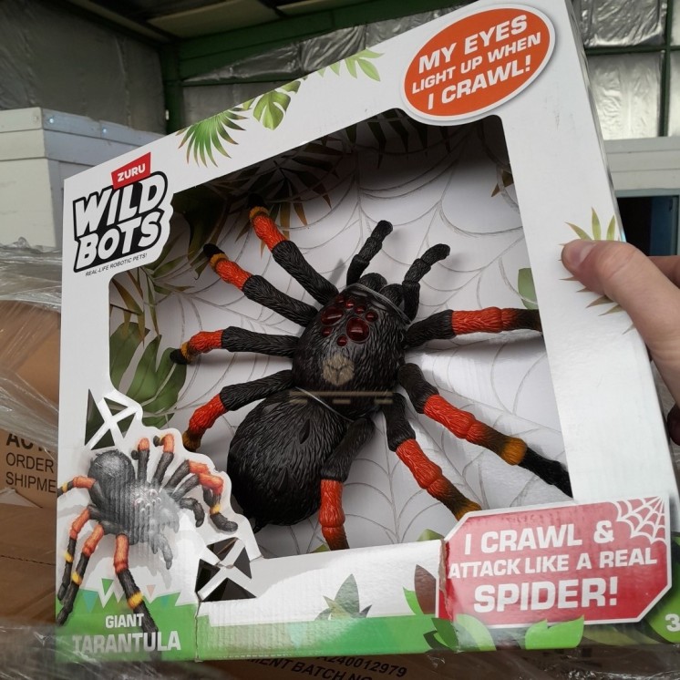 PALETTE A****N - A269