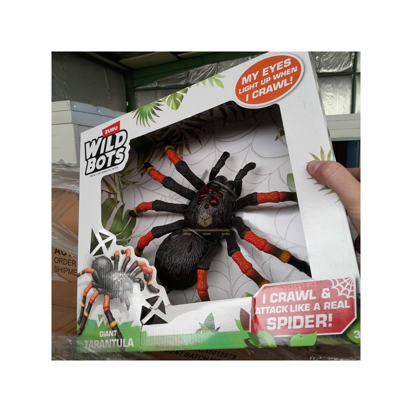 PALETTE A****N - A269