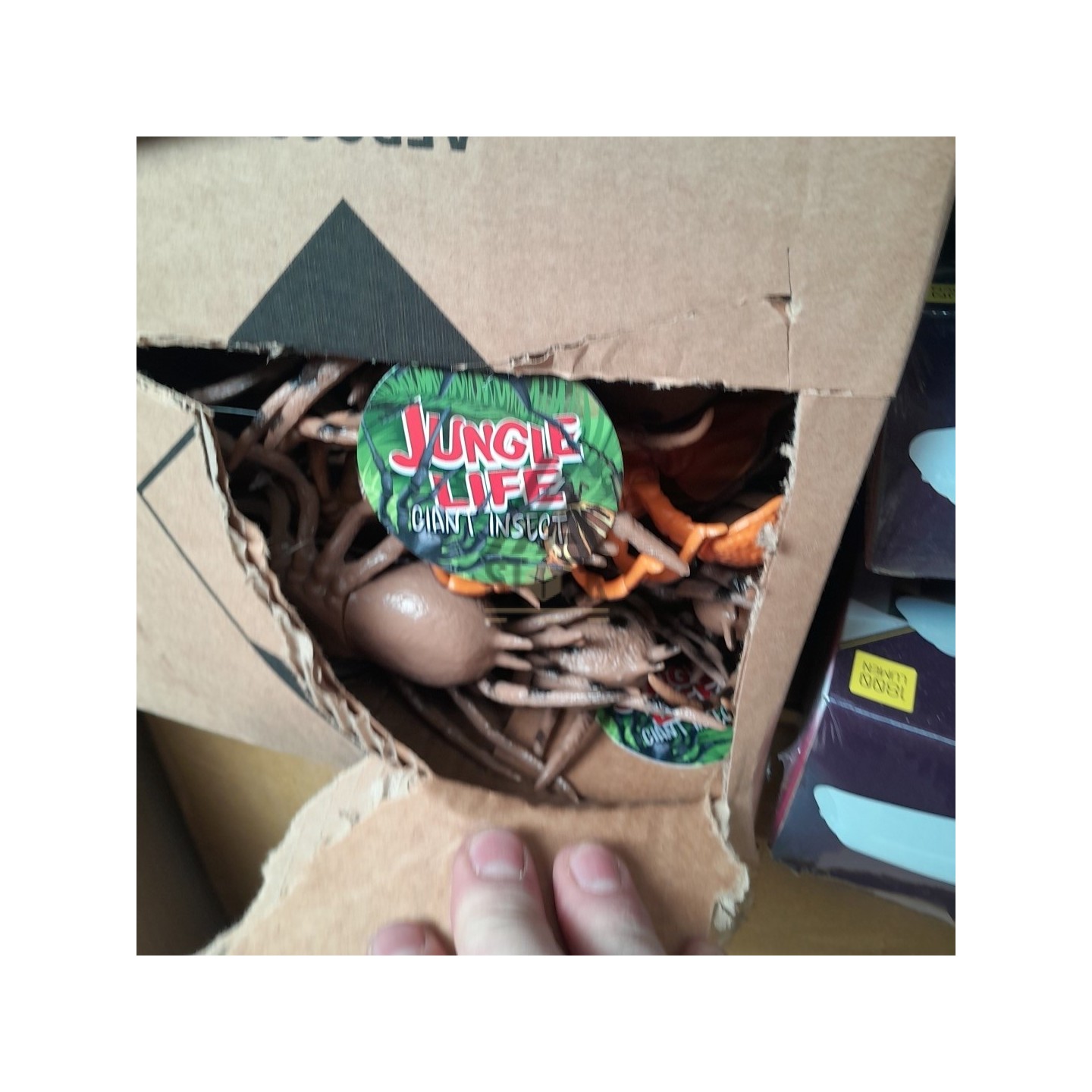 PALETTE A****N - A289