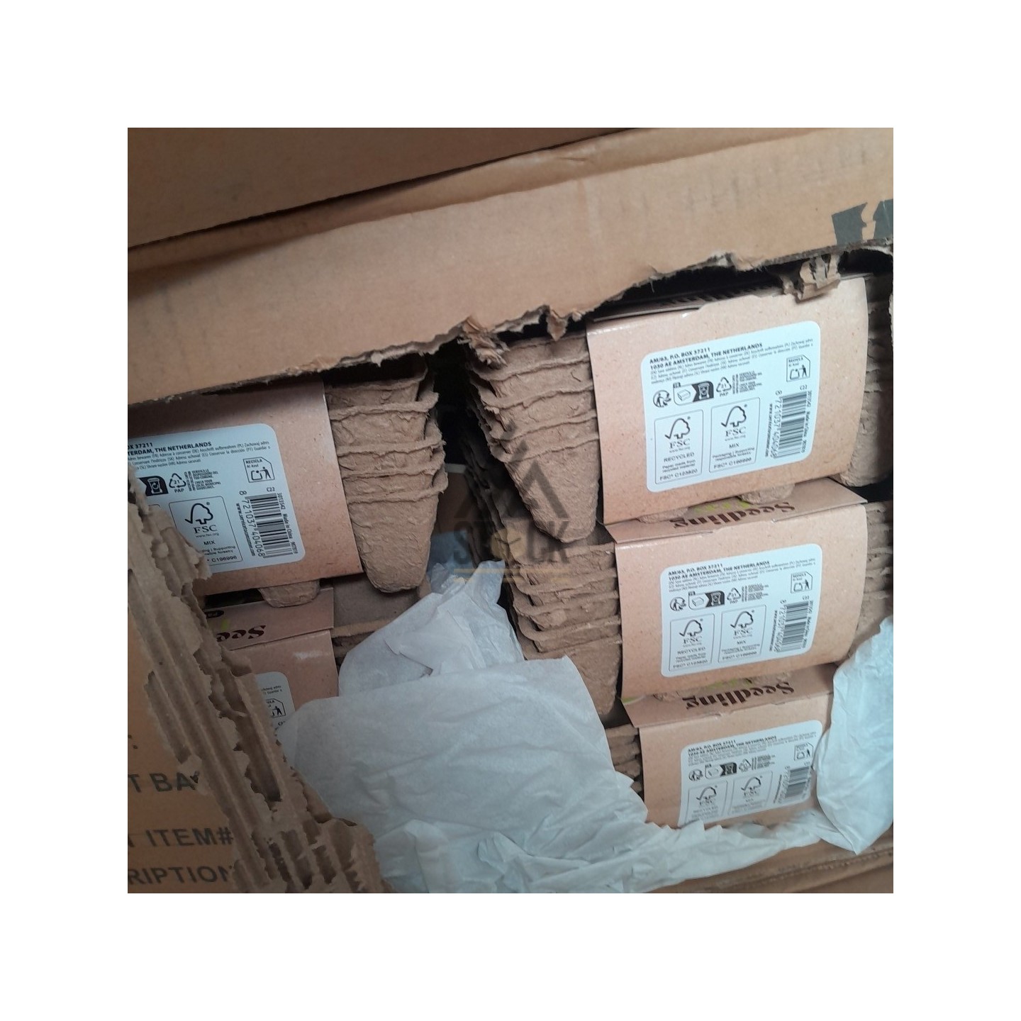 PALETTE A****N - A291