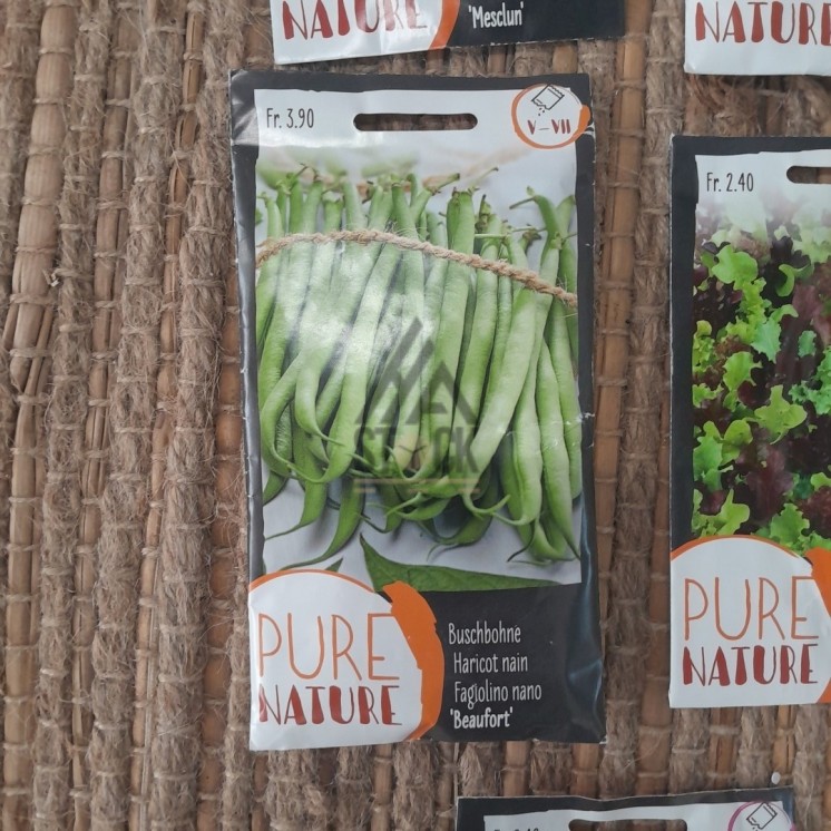 Sachet de graines - 300 pièces