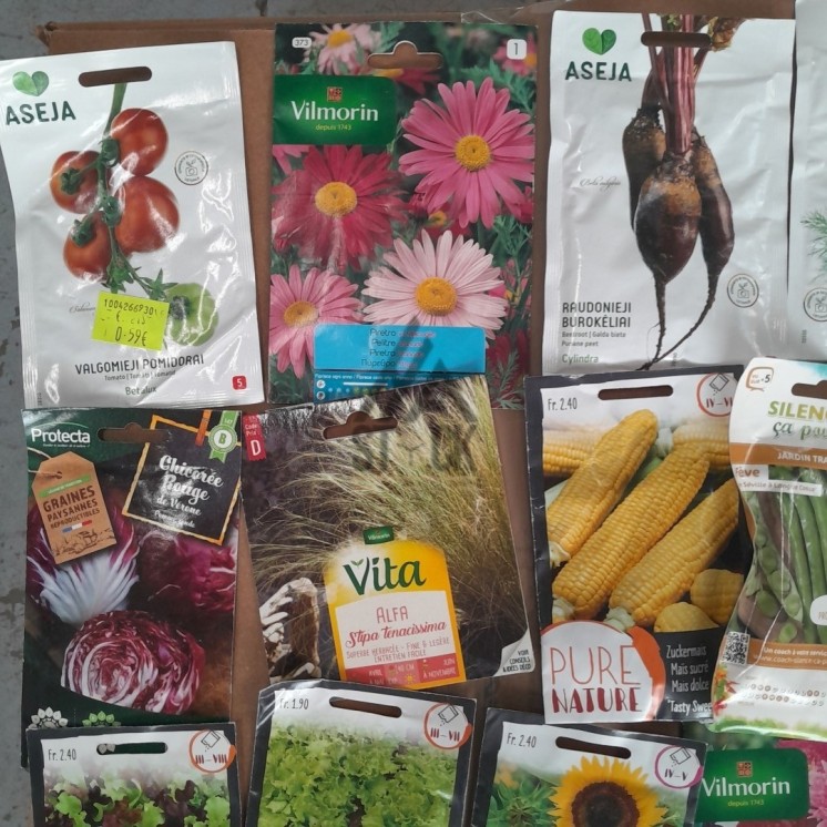 Sachet de graines - 300 pièces