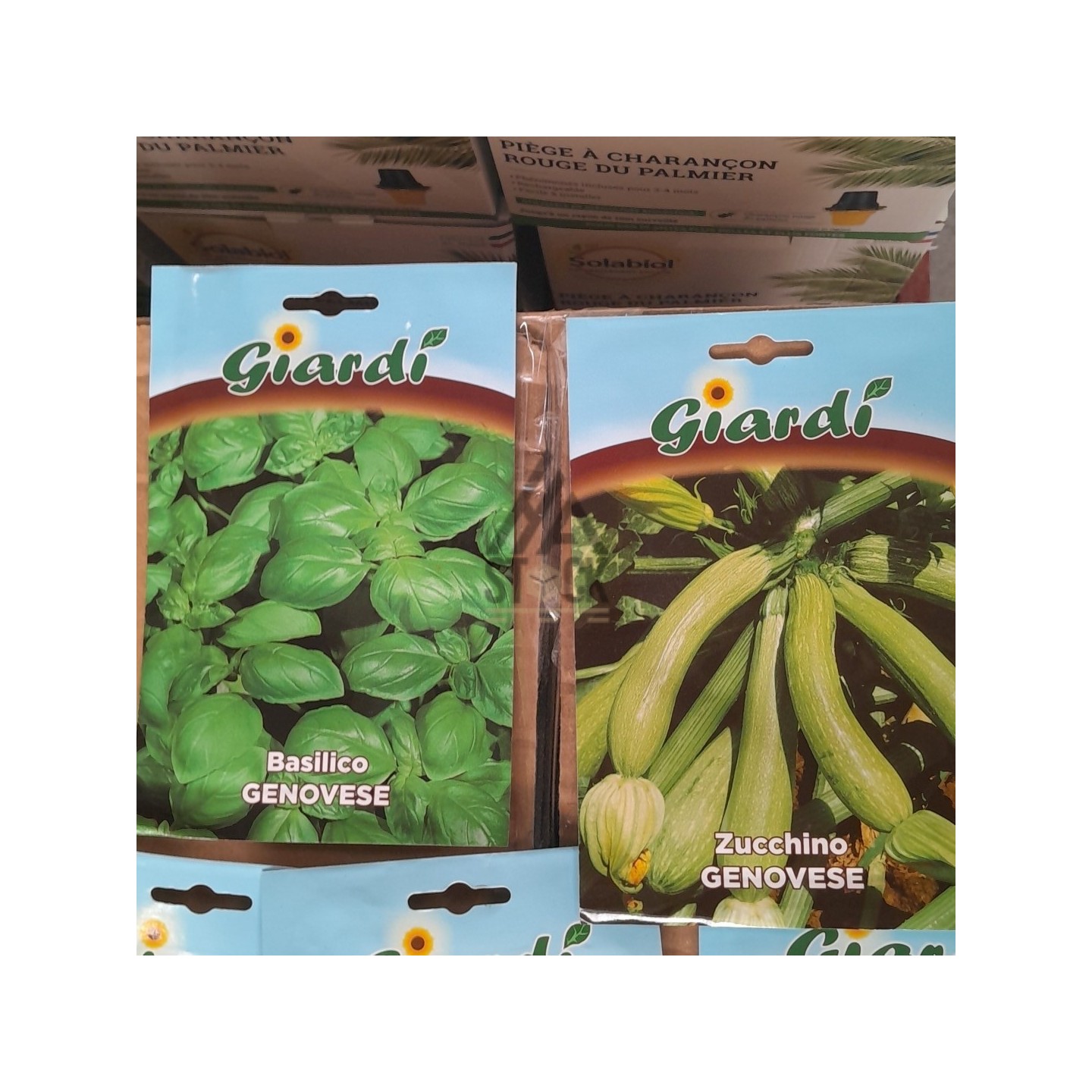 Sachet de graines - 250 pièces