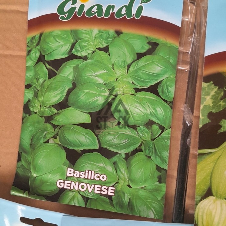 Sachet de graines - 250 pièces