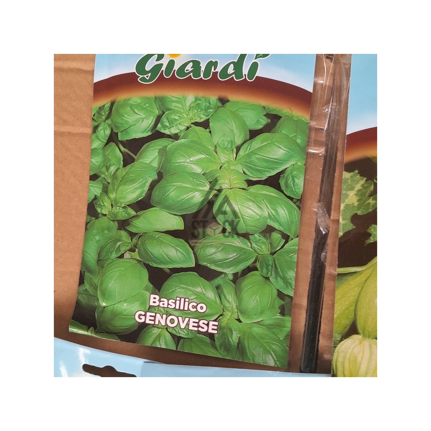 Sachet de graines - 250 pièces