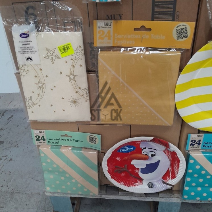 VAISSELLE JETABLE - 300 pièces