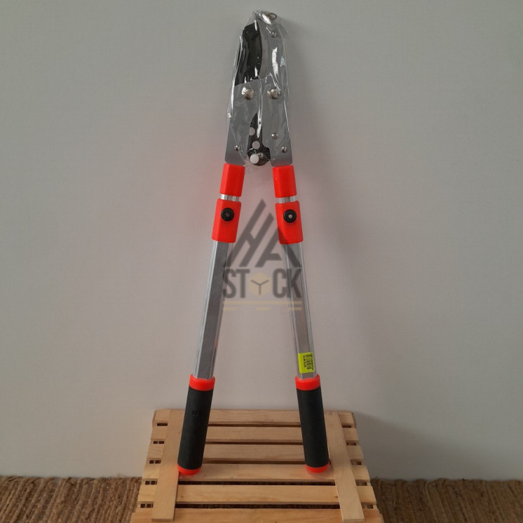 Coupe branche - 10 pièces