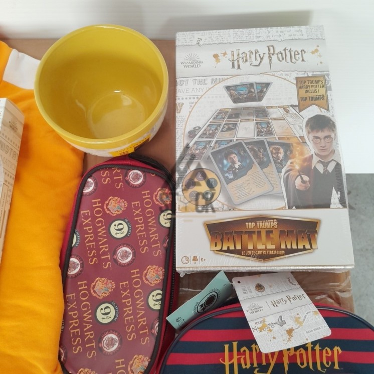 Article et accessoire HARRY POTTER - 100 pièces