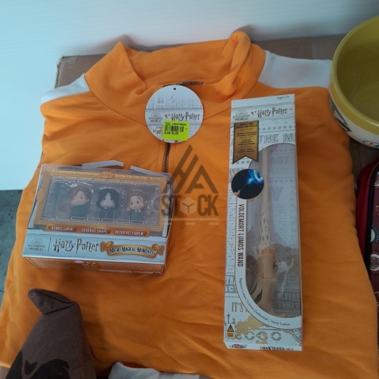 Article et accessoire HARRY POTTER - 100 pièces