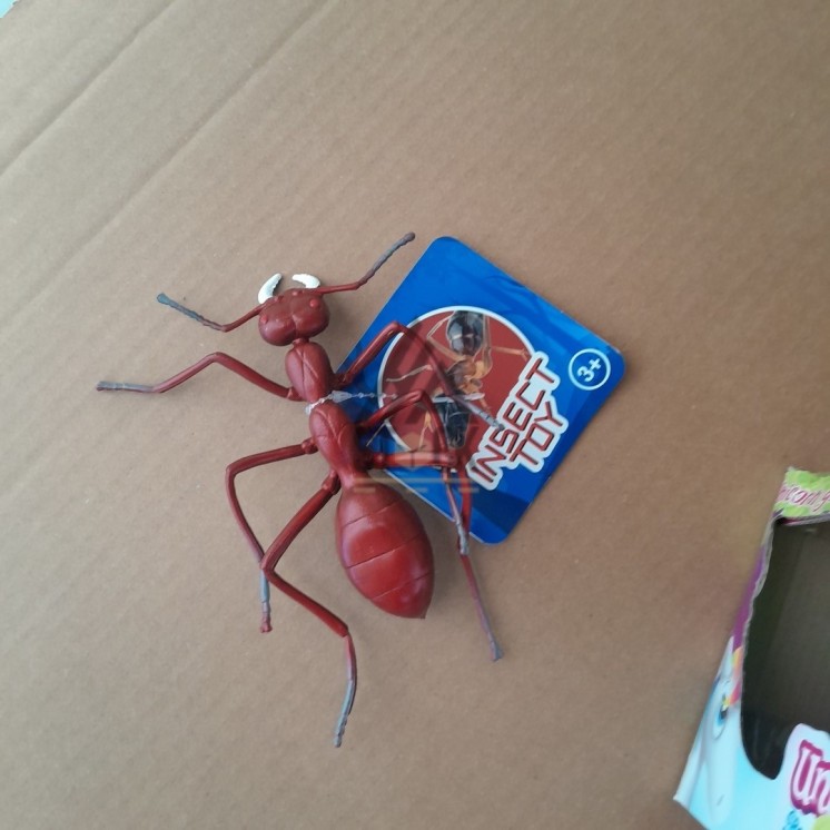 PALETTE A****N - A317