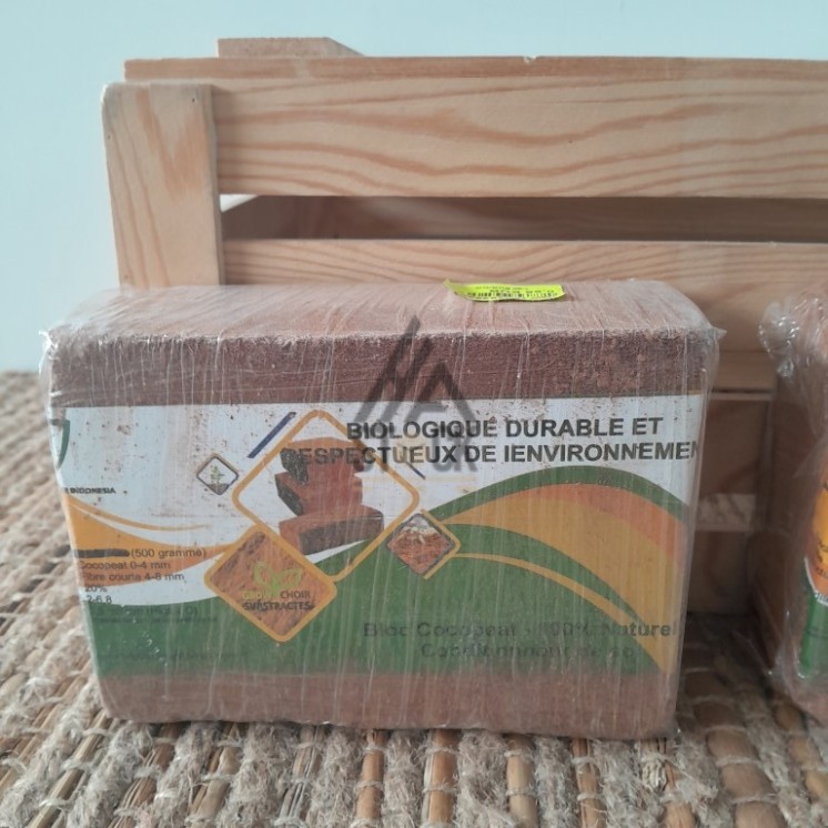 Terreau de coco - 200 pièces