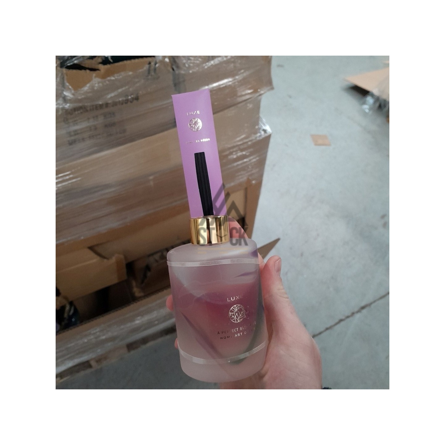 PALETTE A****N - A344