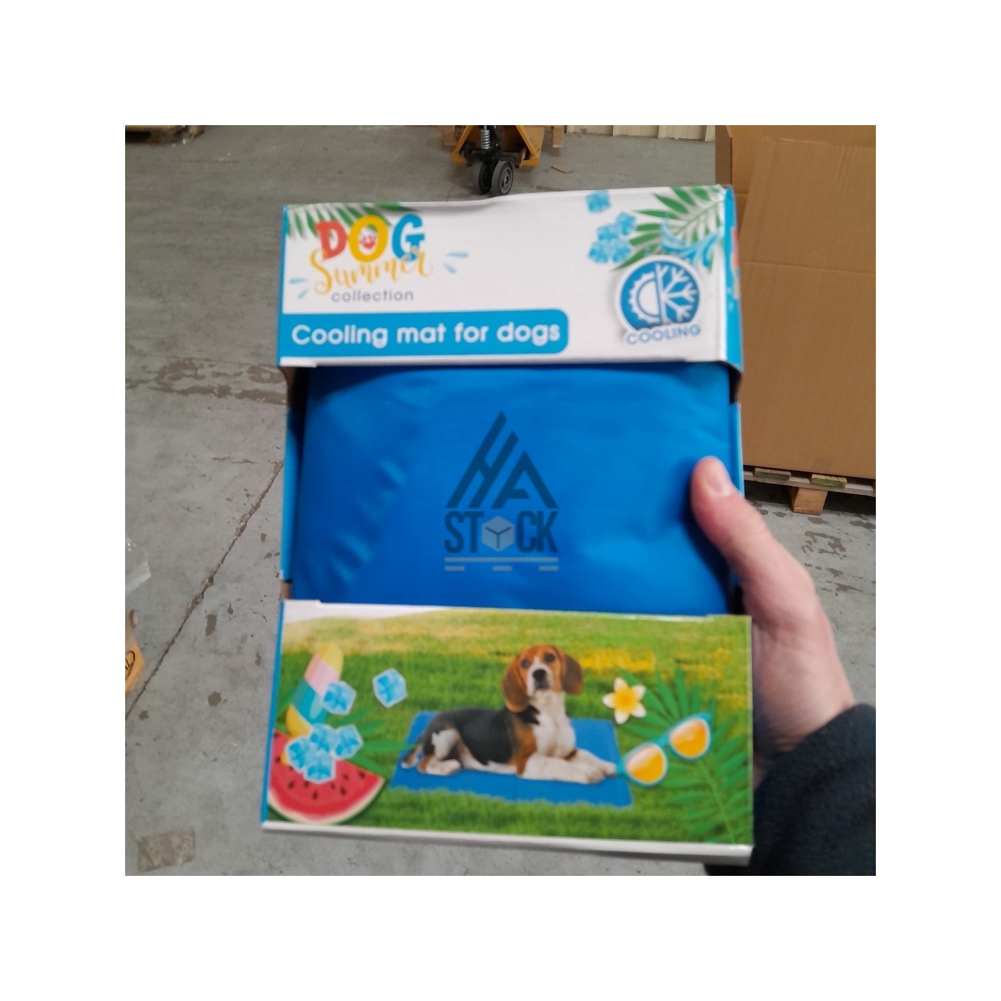 PALETTE A****N - A348