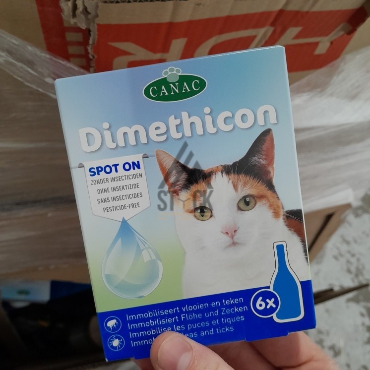 PALETTE A****N - A349